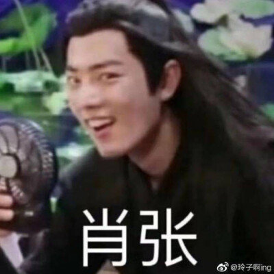 肖战表情包