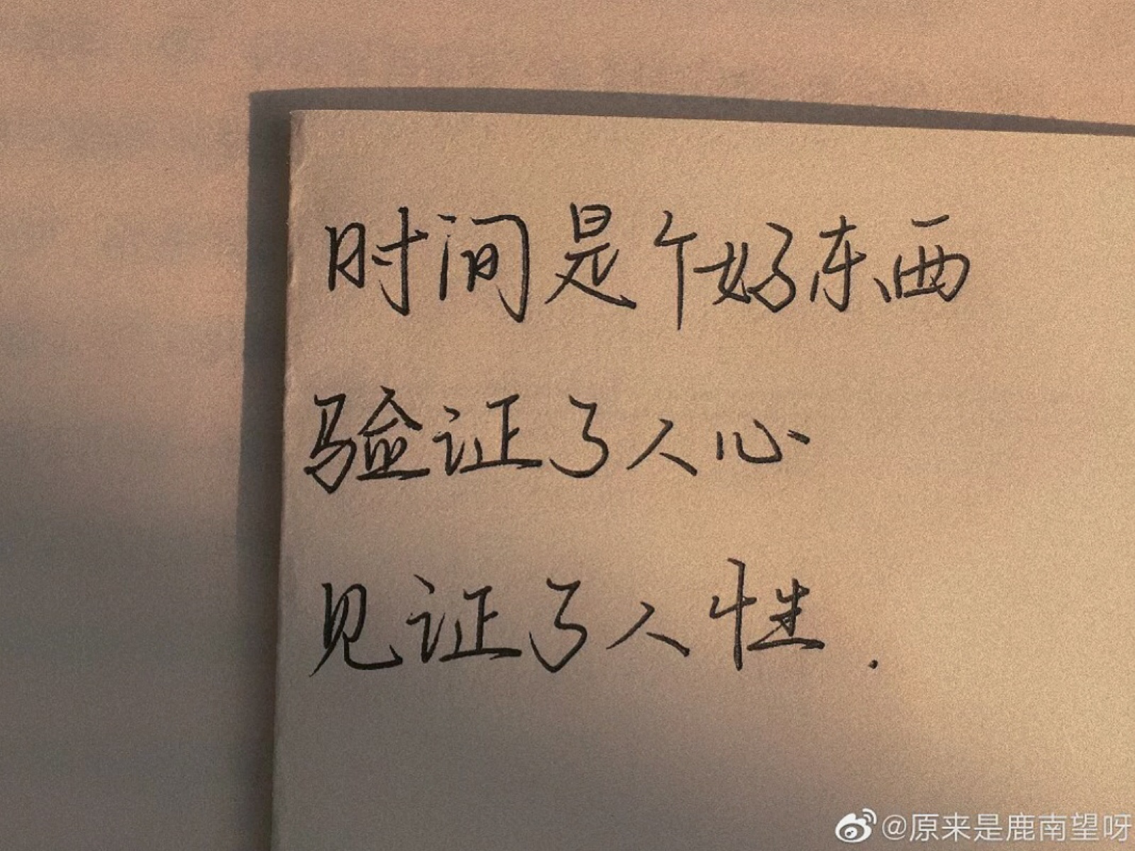 聊天记录#语录#诗歌#文字壁纸#朋友圈配图#心情#治愈系壁纸#文案