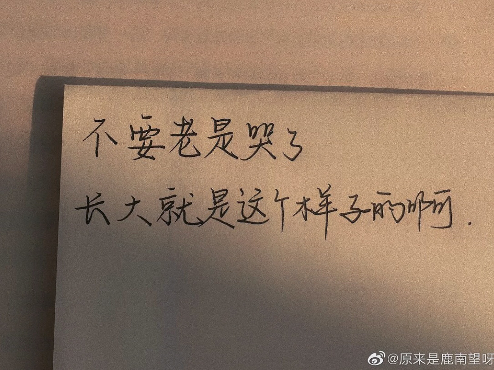 聊天记录#语录#诗歌#文字壁纸#朋友圈配图#心情#治愈系壁纸#文案