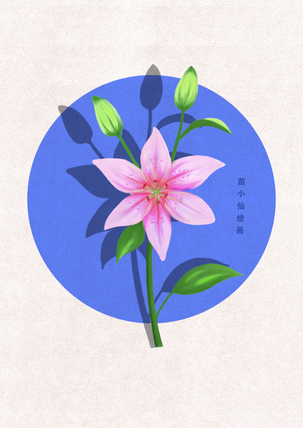 百合花绘画过程