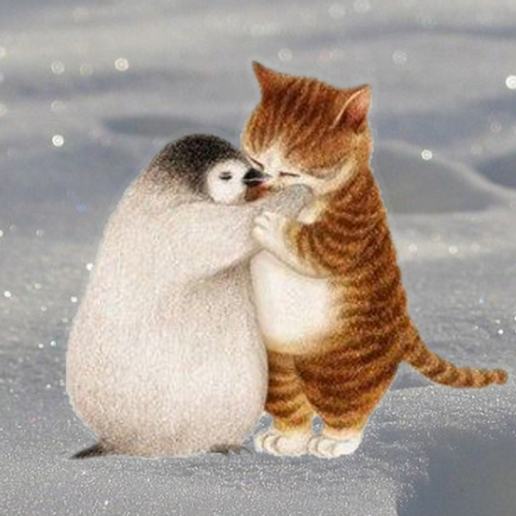 猫咪与企鹅