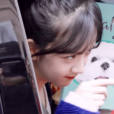 jisoo动漫