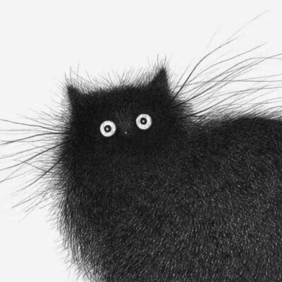 黑色炸毛猫头像图片