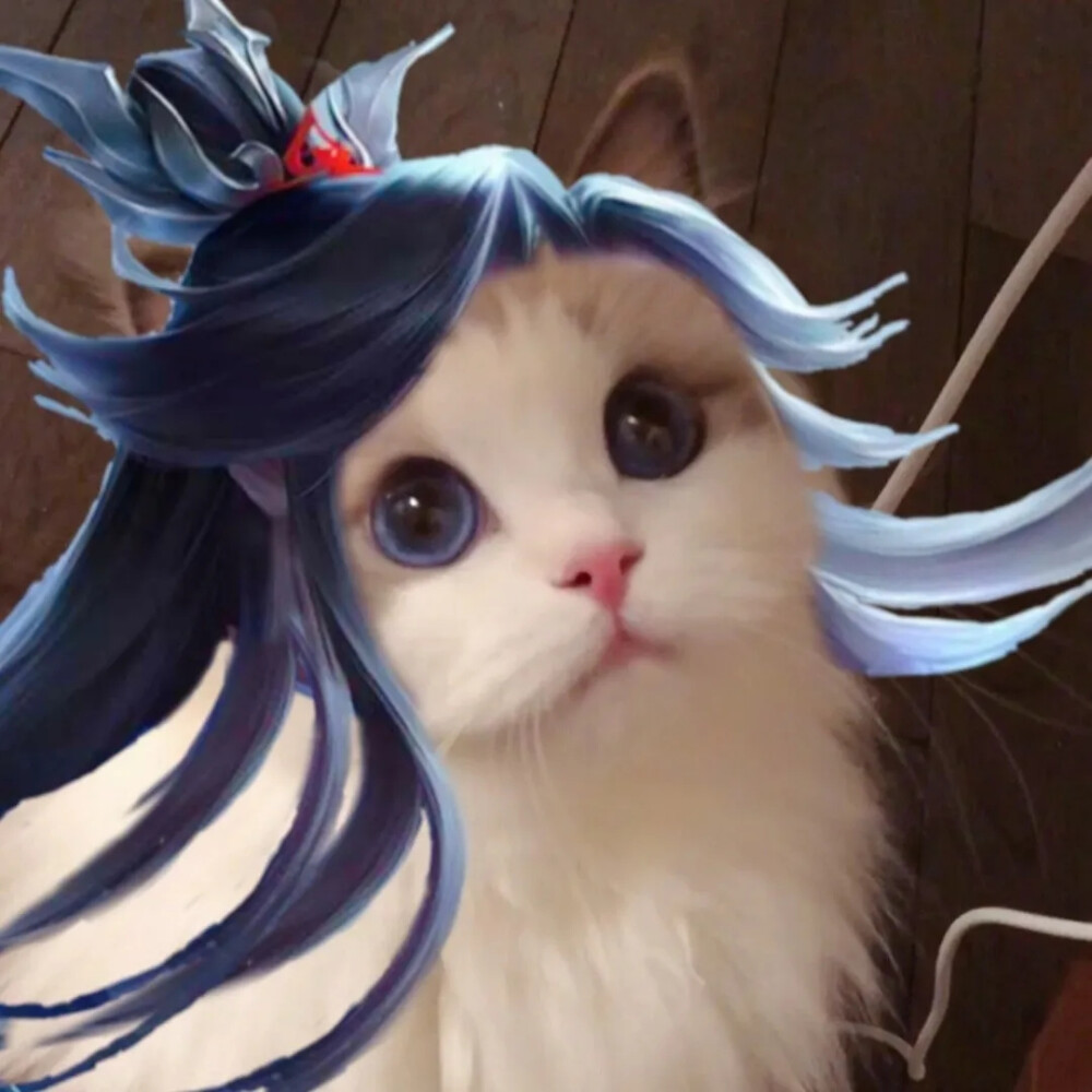 王者荣耀射手篇猫萌萌头像