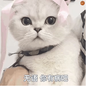 gif动图表情包萌宠