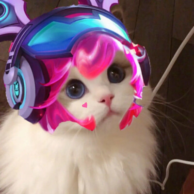 王者荣耀可爱猫猫头像