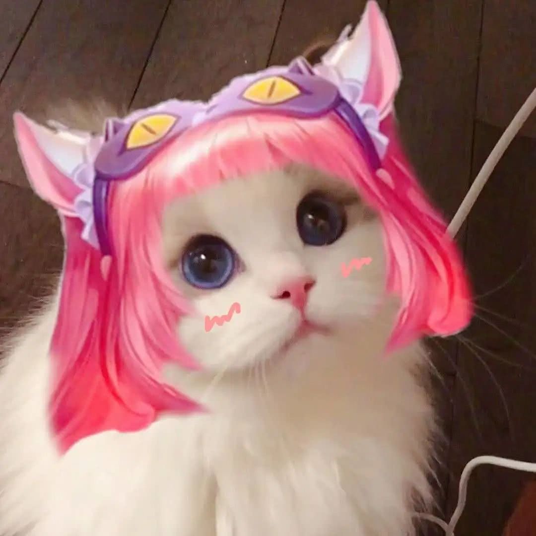 王者荣耀 接头小猫咪头像 大乔
