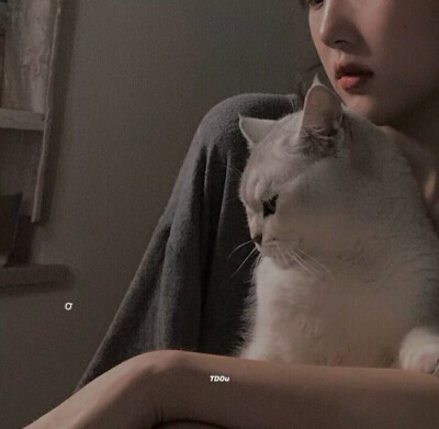女生头像