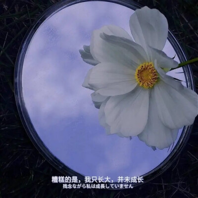 ins潮图朋友圈背景图/高质量/神仙背景/cr 雨梦图文馆
