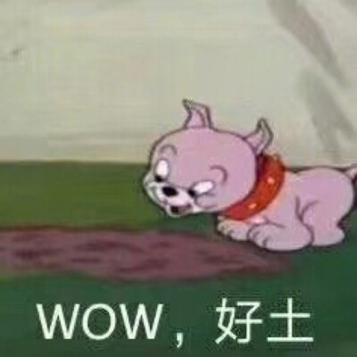 猫和老鼠动漫表情包 wow好土