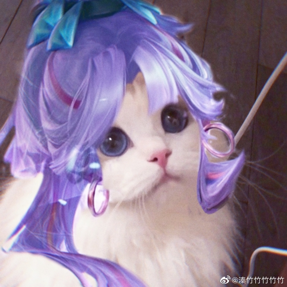 猫咪头像女英雄篇