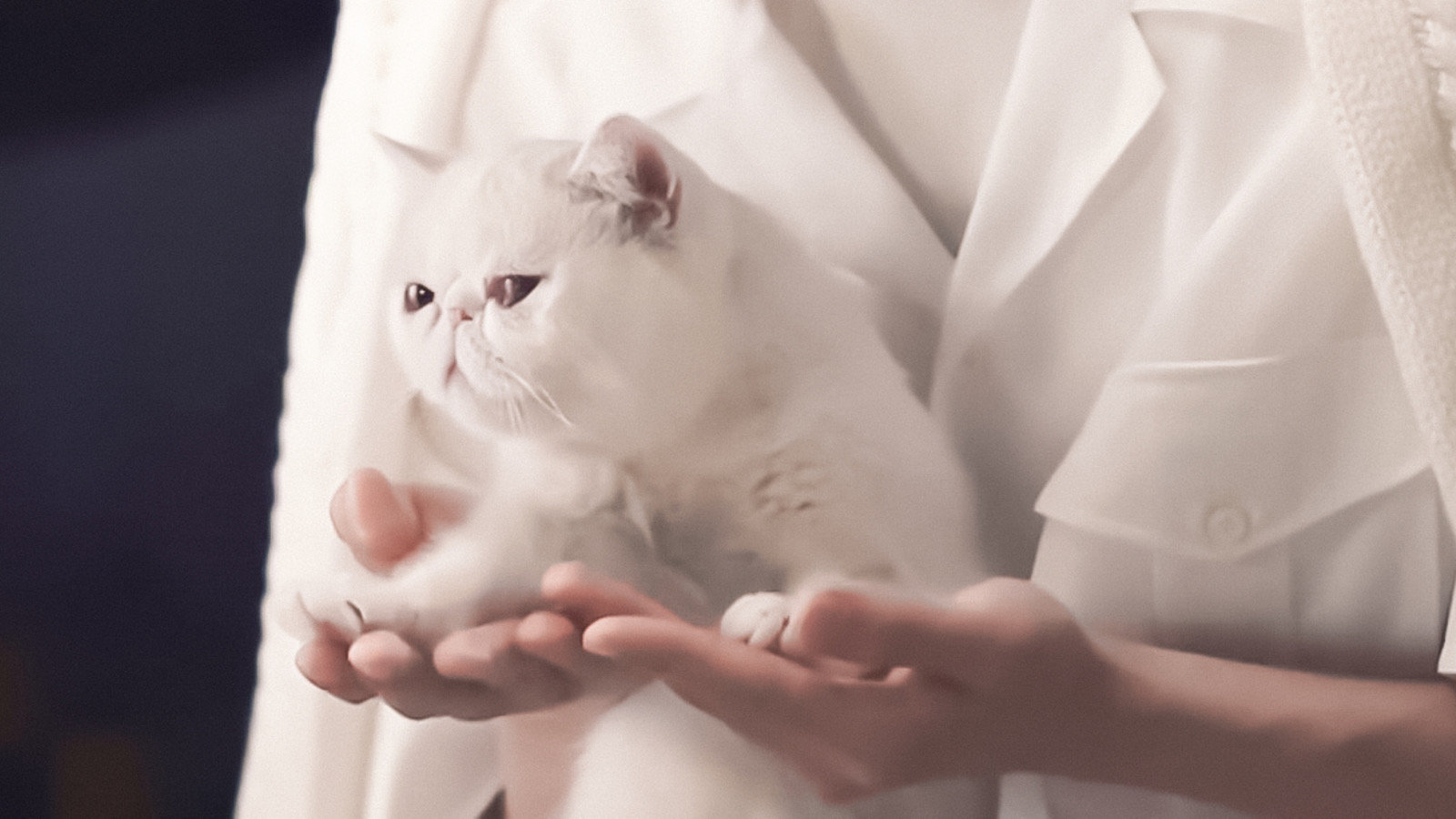 王一博 - 堆糖,美图壁纸兴趣社区