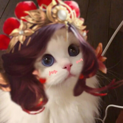 王者荣耀四大美女接头