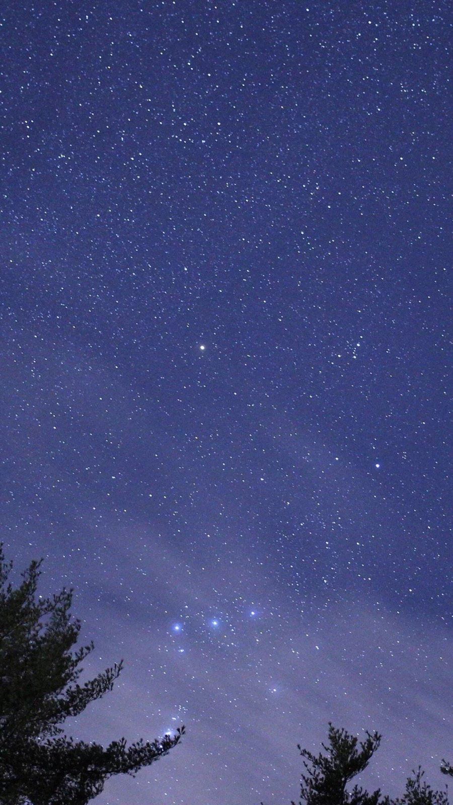 夜空中最闪亮的星照片图片