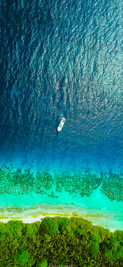 大海壁纸