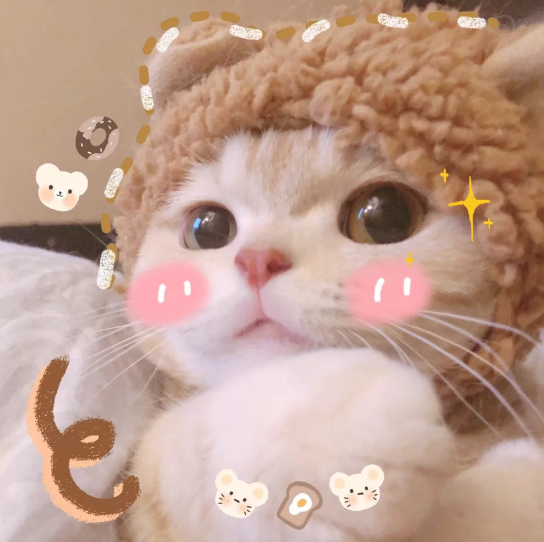 可爱情头萌宠