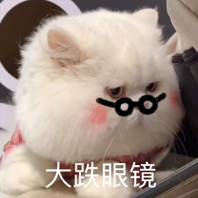 表情包完球了