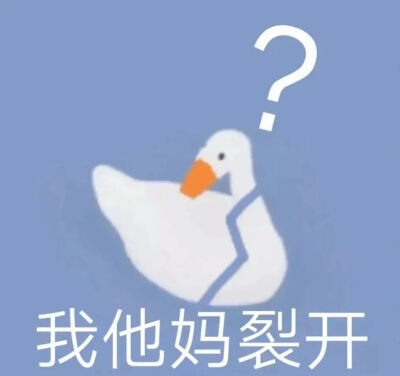 鹅表情包情头