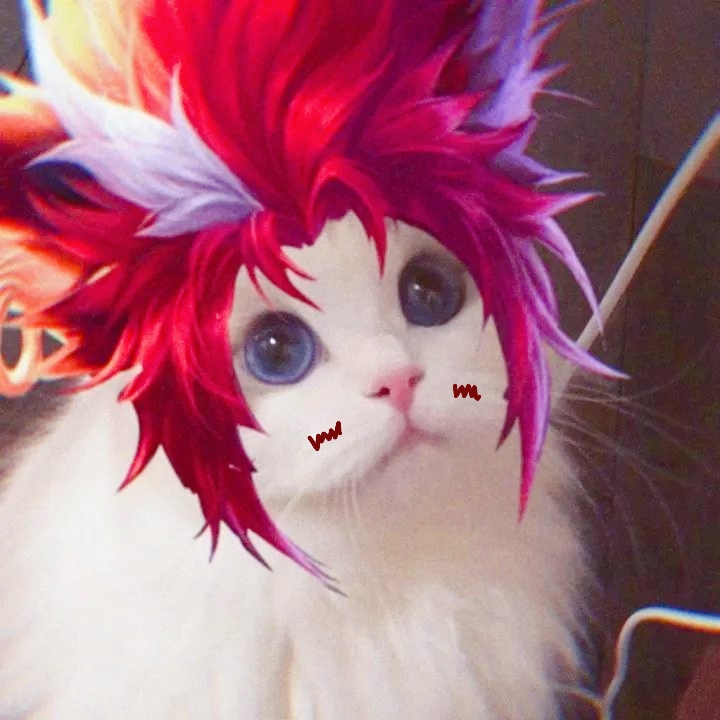 王者荣耀接头猫咪野王篇