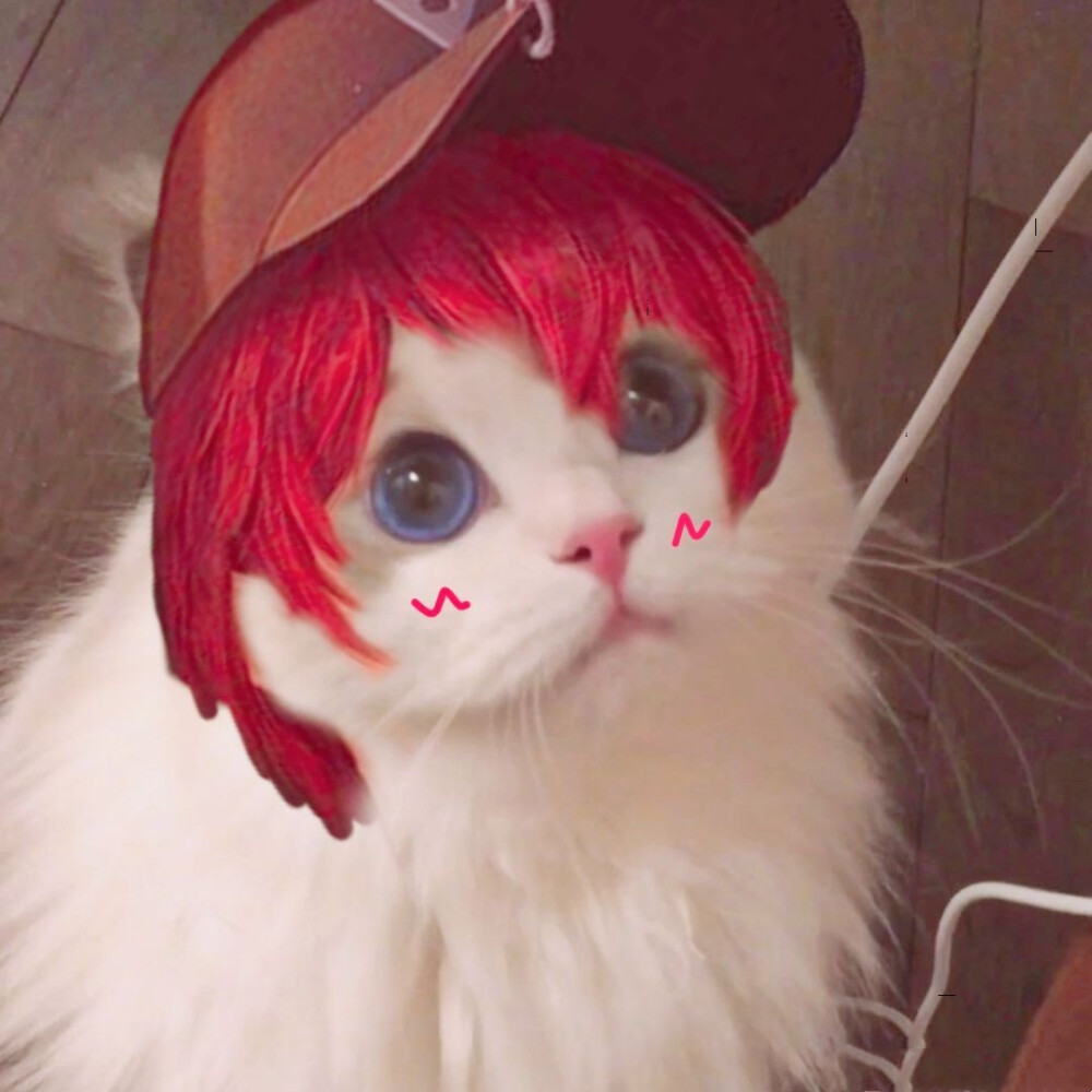 王者荣耀接头猫咪野王篇