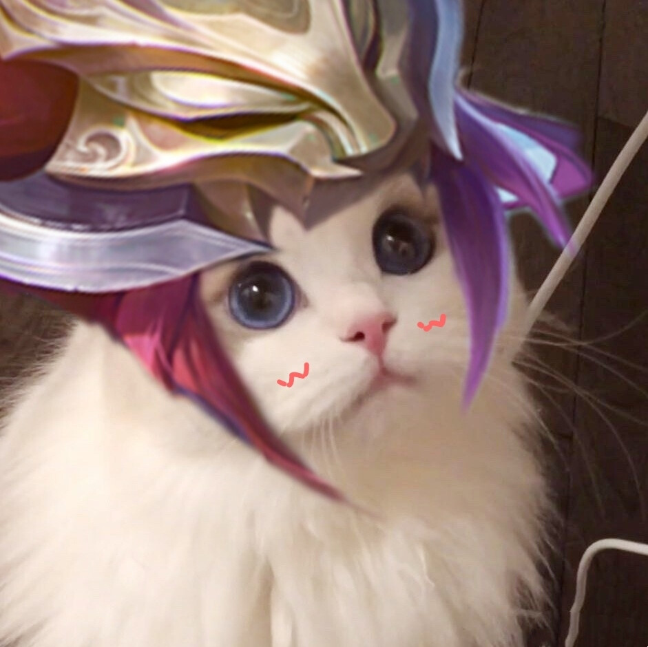 王者荣耀接头猫咪野王篇