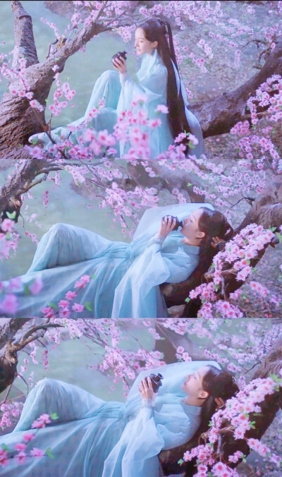 杨幂| 三生三世十里桃花 | 白浅