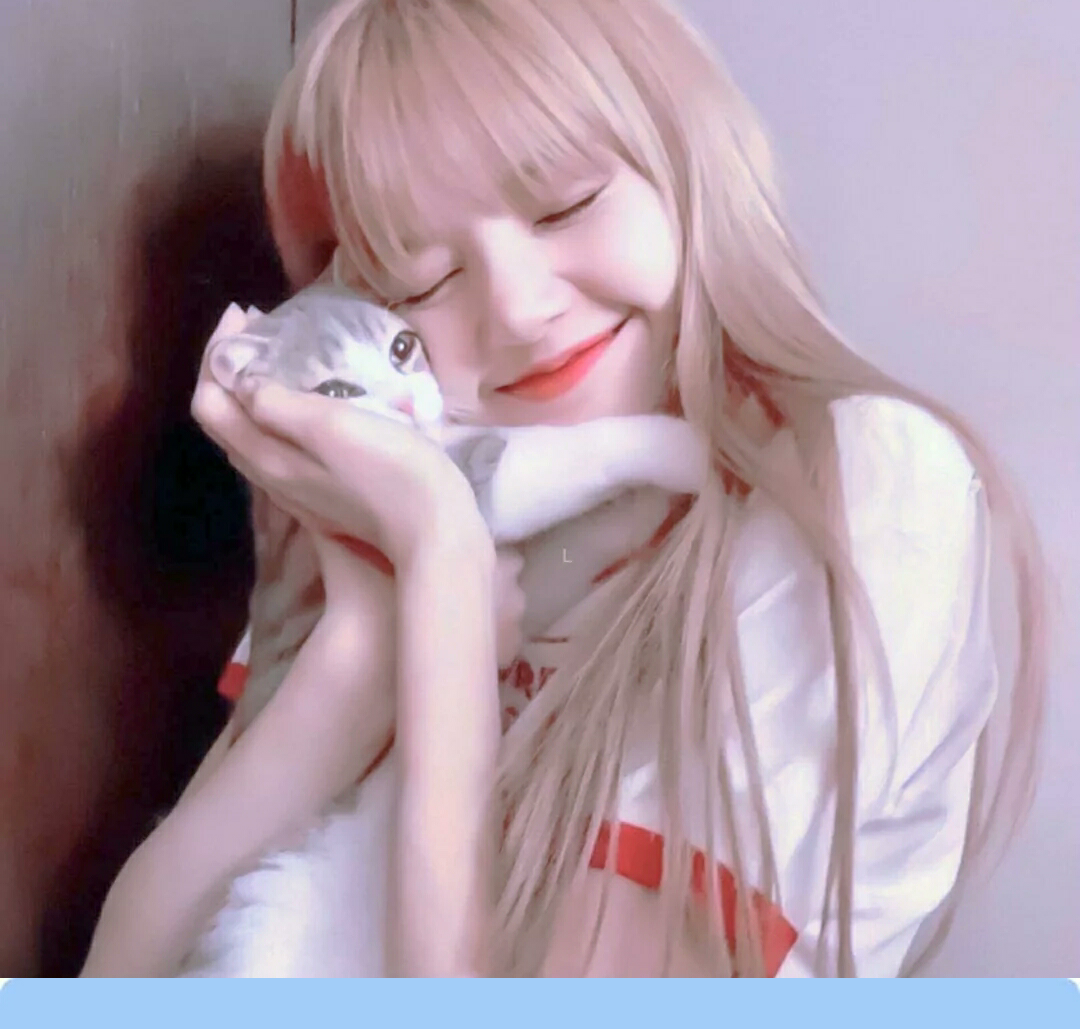 blackpink:lisa - 堆糖,美图壁纸兴趣社区