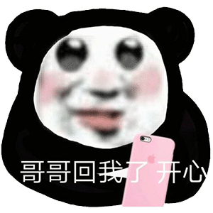 抖音小熊猫表情包图片