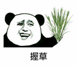 小熊猫表情包,你绝对没见过,确定不收藏?