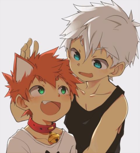 猫哥- 堆糖,美图壁纸兴趣社区