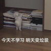 阔爱到怀疑人生