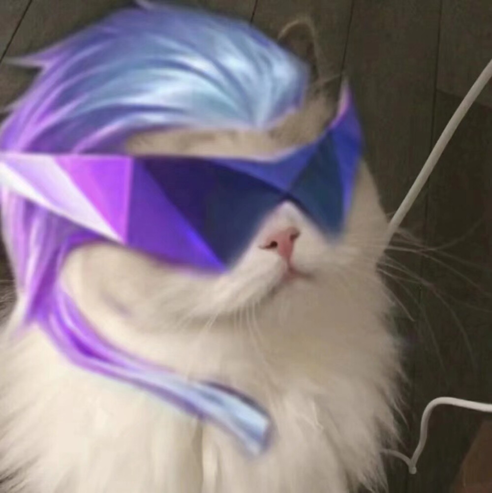 王者荣耀猫猫头像梦奇妲己猪八戒后羿雅典娜王昭君鲁班七号花木兰