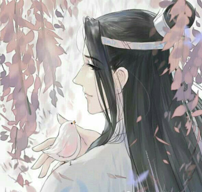 魔道祖师情头关注我,我会继续更新.