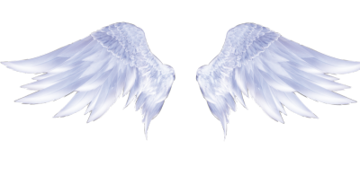 羽翼- 堆糖,美图壁纸兴趣社区