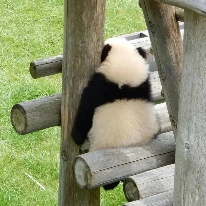 背景图治愈你的不开心