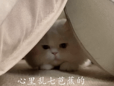 可爱表情包‖一波动态球球在线憨憨