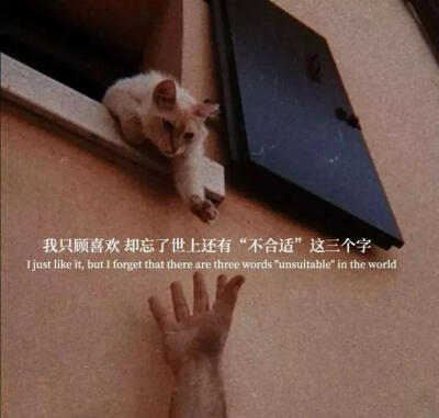 [头像/ 背景图]纯字微信朋友圈背景图