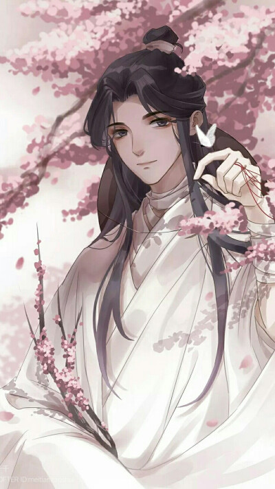 忘羡壁纸
