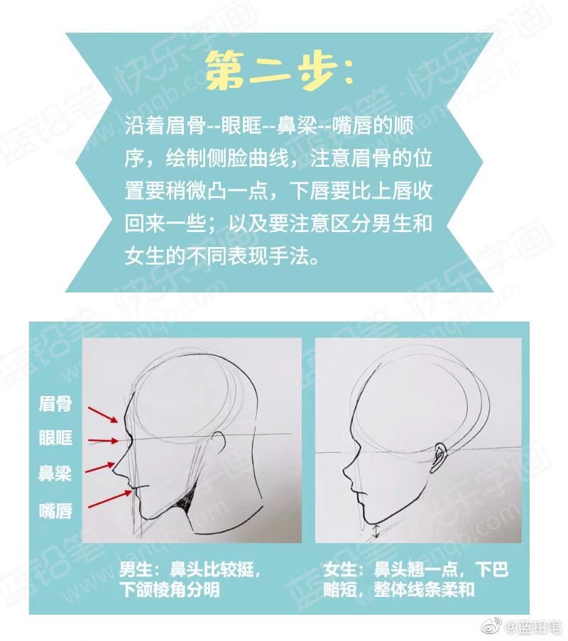 侧脸教程(男女)