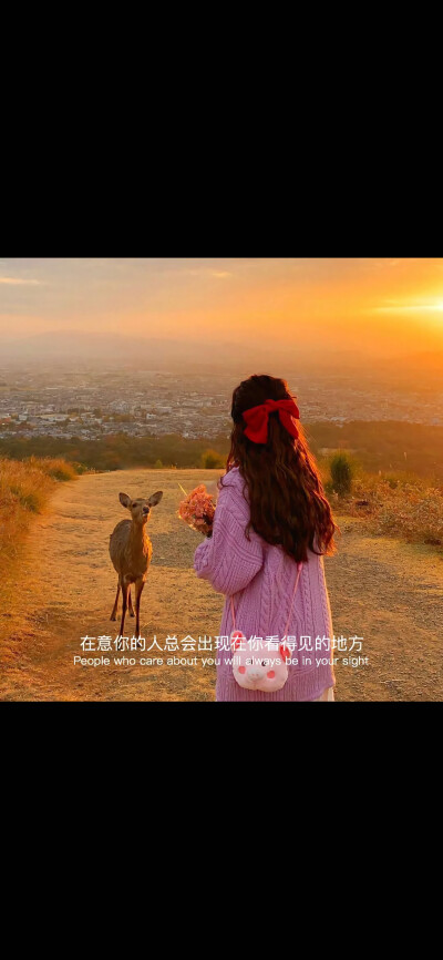 抖音一套壁纸