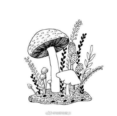 蘑菇儿童画线描图片