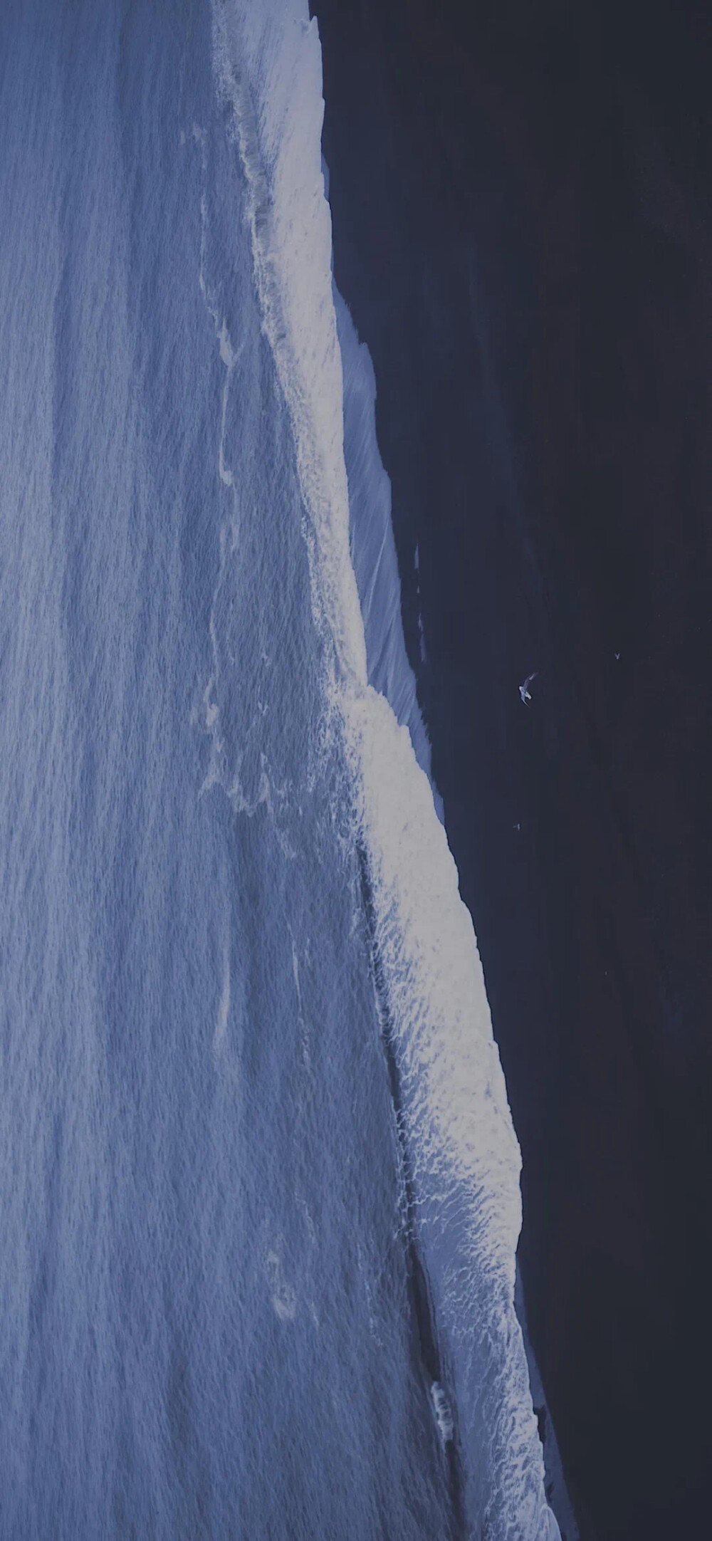 手机壁纸 锁屏壁纸 卡通壁纸 聊天背景 春日壁纸 可爱壁纸 全面屏