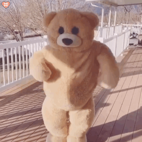 玩偶熊跳舞表情包第九期第一弹