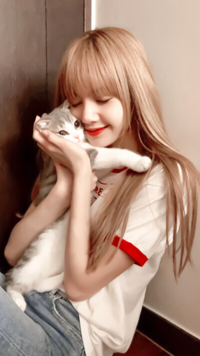 lisa壁纸
