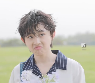 boystory 表情包 壁纸