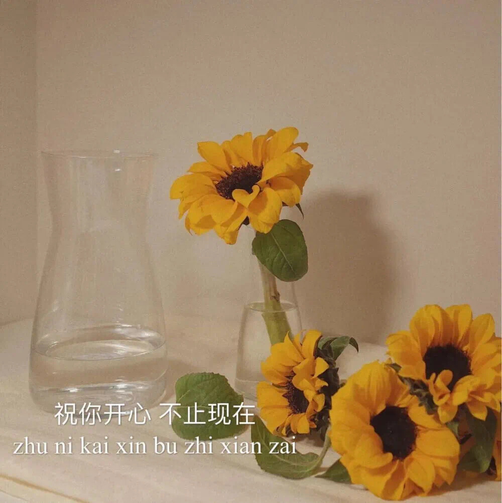 朋友圈背景图 ins 情怀 文字 爱情 少女心 文案 小美好