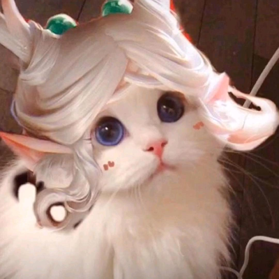 王者猫咪接头头像 快来看看有没有你喜欢的!