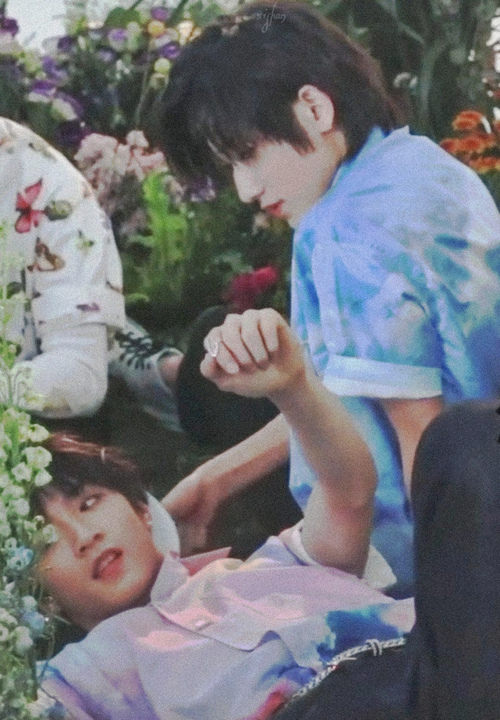 文轩「刘耀文×宋亚轩」