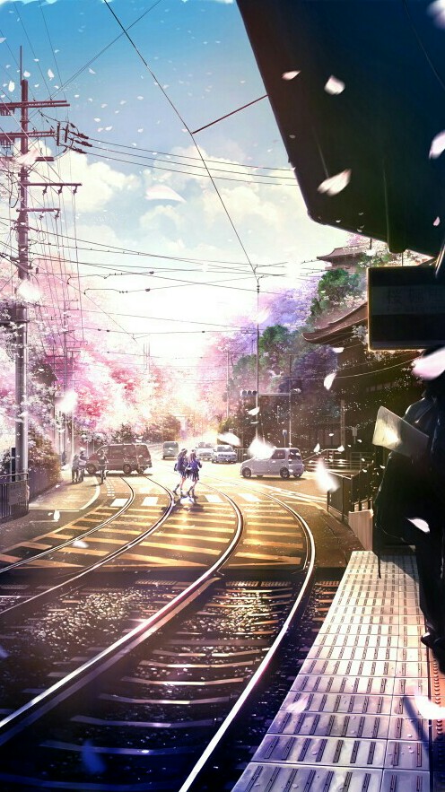 日本樱花街道二次元图片