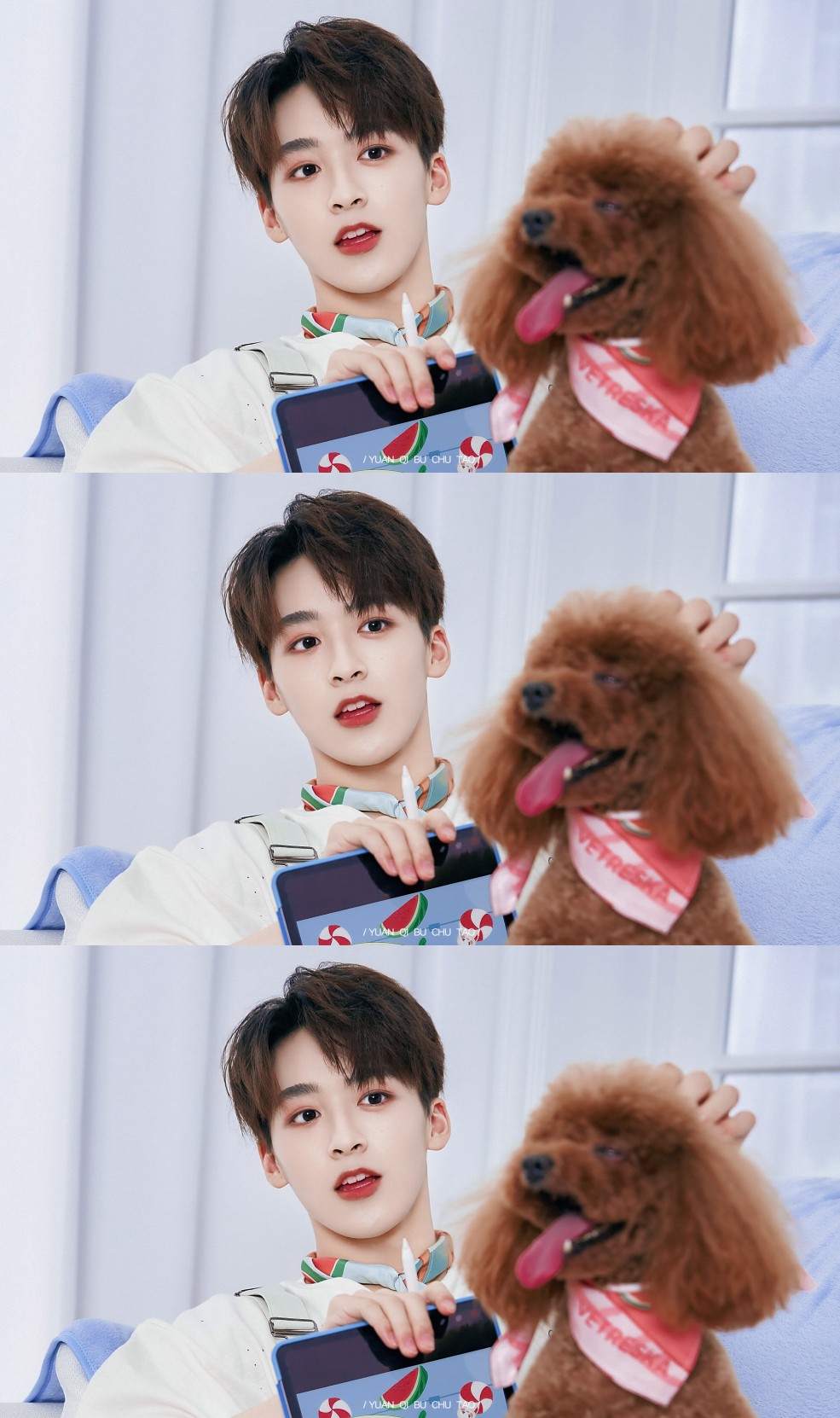 何洛洛 徐一宁 - 堆糖,美图壁纸兴趣社区